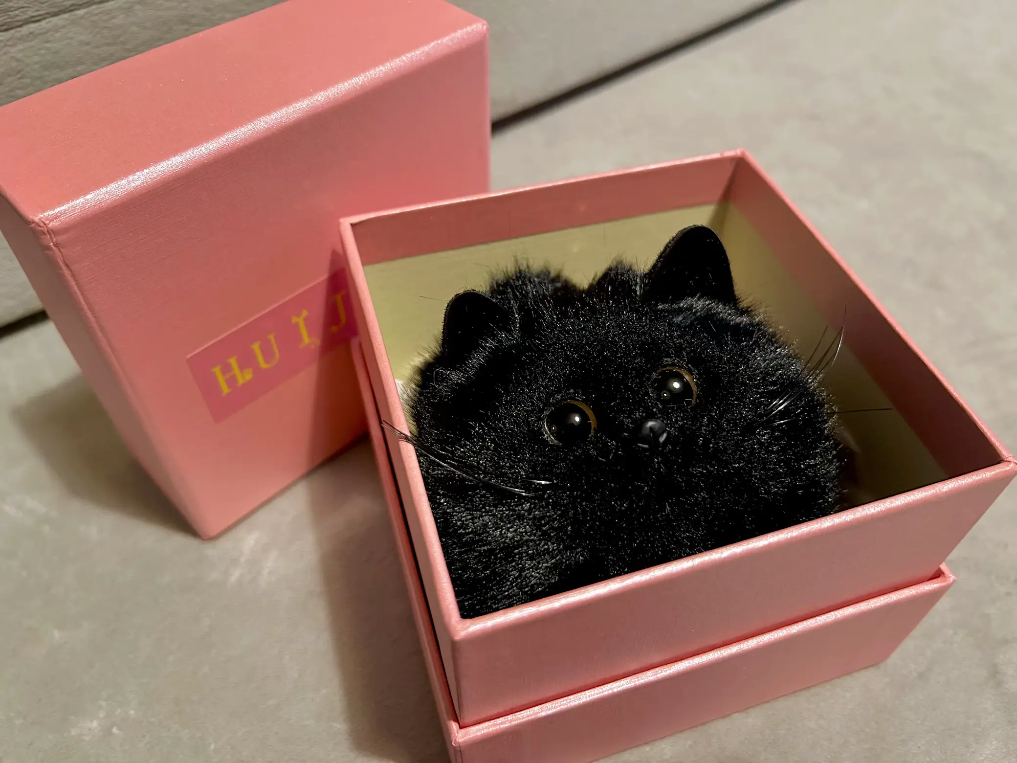 ✨待望の猫ちゃんデザイン！✨ゆるふわな猫ちゃんのルノルマンカード・オラクルカード ✨待望の猫ちゃんデザイン！✨ゆるふわな猫ちゃんのルノルマン