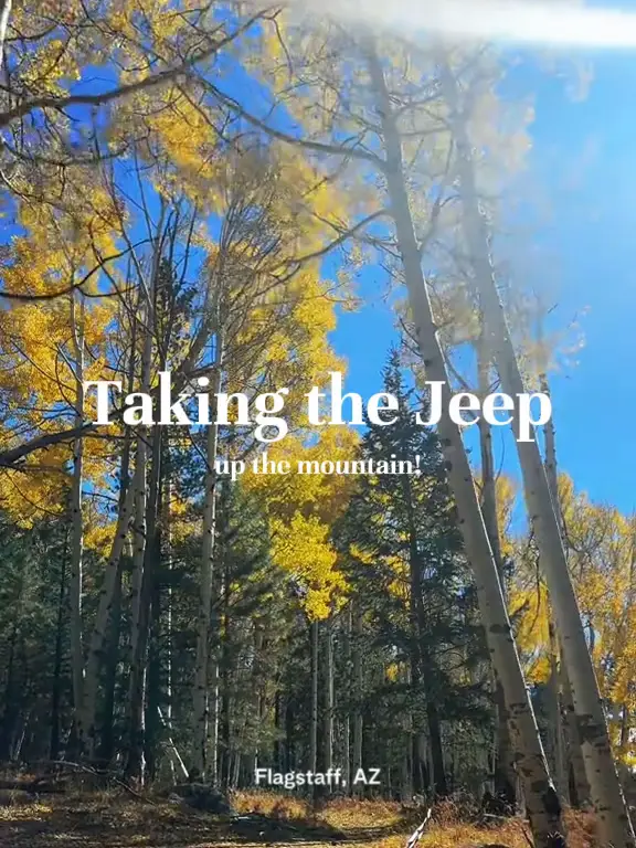 Jeep Wrangler adventure in Flagstaff AZ 🌲 วิดีโอที่เผยแพร่โดย Rach 🫶🛍