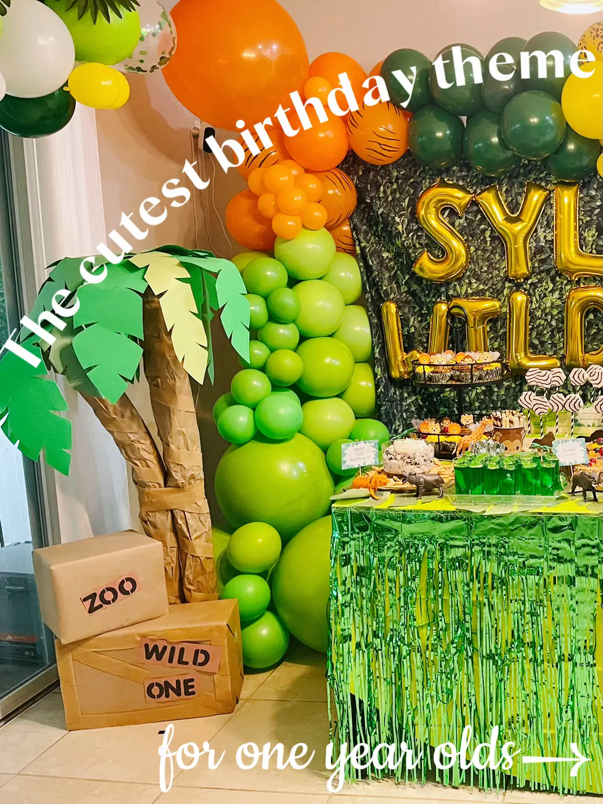 Jungle Theme Cake Smash Props - Lemon8 Search