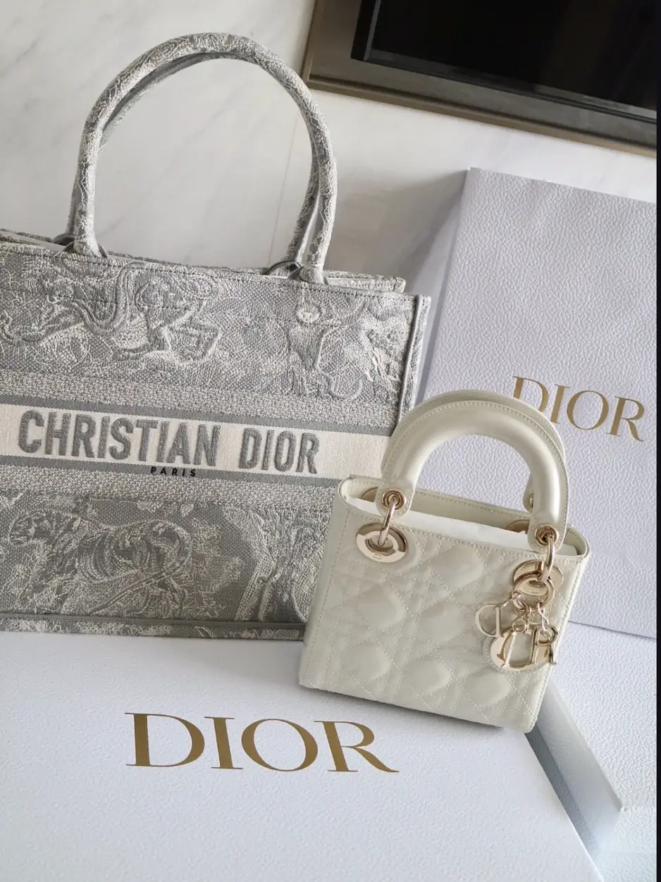 Louis Vuitton On The Go GM Tote Bag v Dior Large Book Tote - Review &  Comparison with Mod Shots! 
