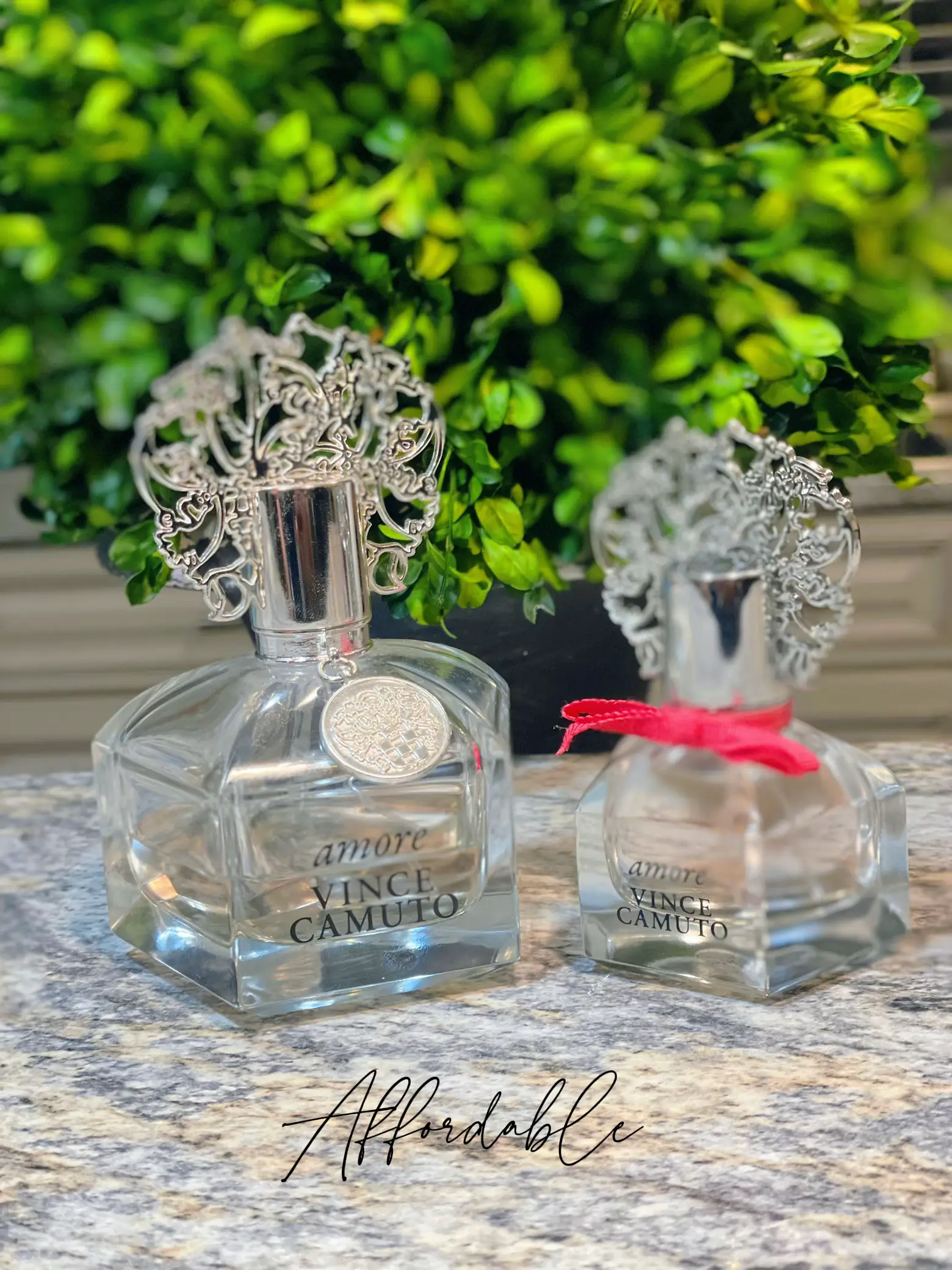 Vince Camuto Amore Perfume Review 