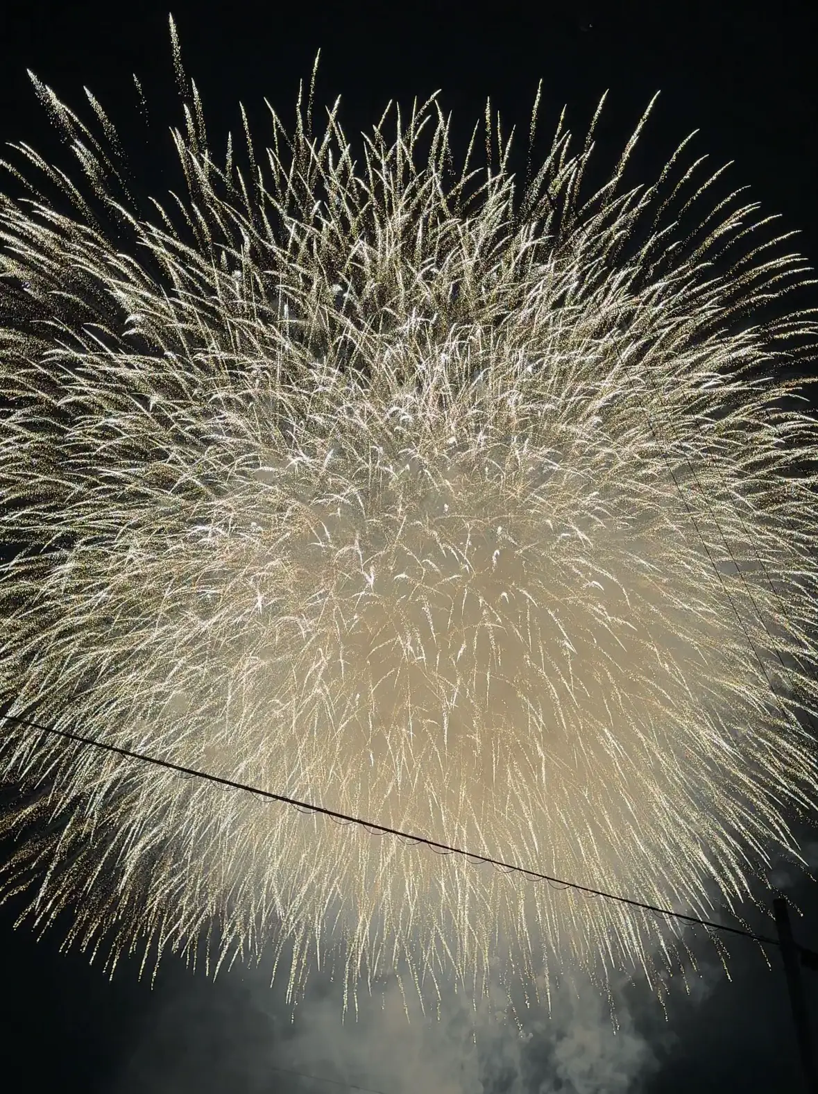 ✨岡崎市花火大会✨ 写真編 | 枝豆が焼き芋みたいだが投稿したフォトブック | Lemon8