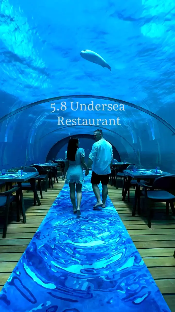 Check out the 5.8 Undersea Restaurant!!🌊's images