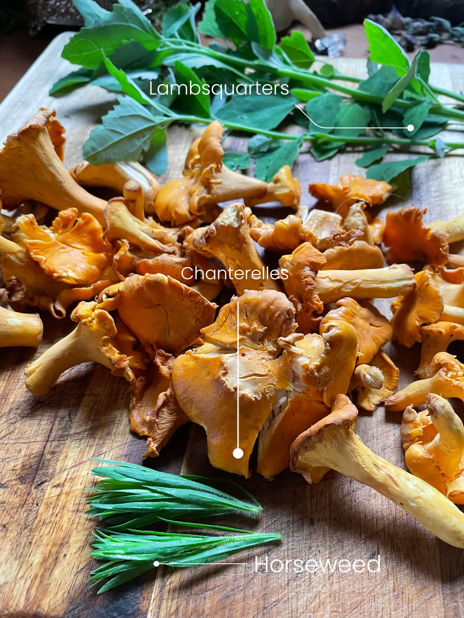 The Complete Guide to Foraging and Harvesting Wild Lilikoi