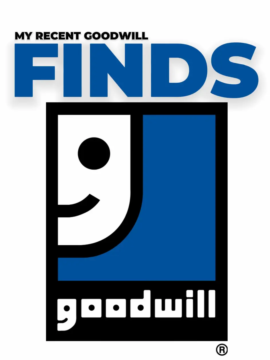 My Recent Goodwill Finds 🥰 แกลเลอรีที่โพสต์โดย Destinie Lemon8