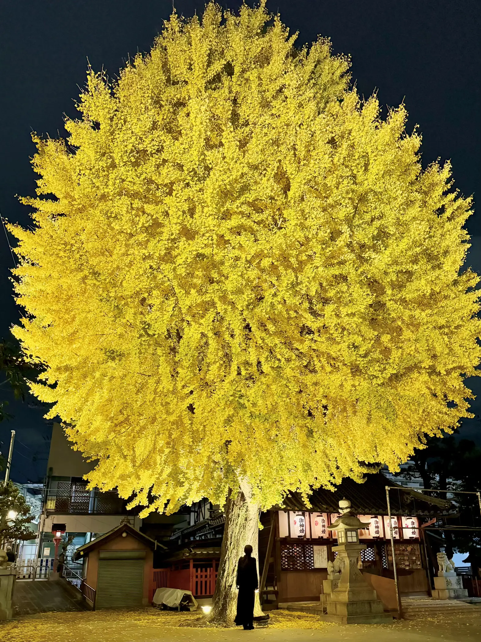 イチョウの葉デザイン立体オブジェ ゆるく 