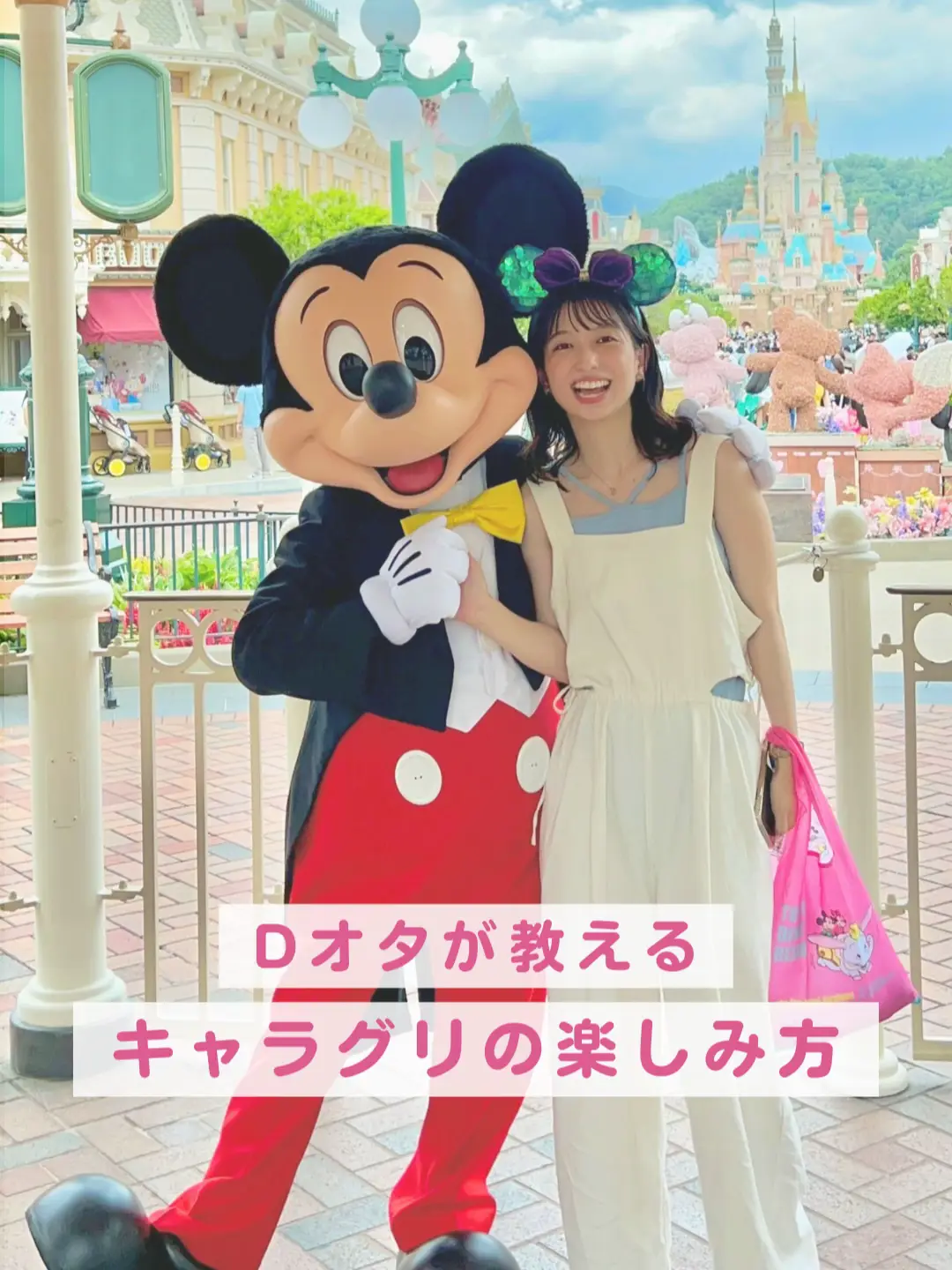ディズニーセット （40周年ドナルドぬいぐるみ など）※個別売り対応※D