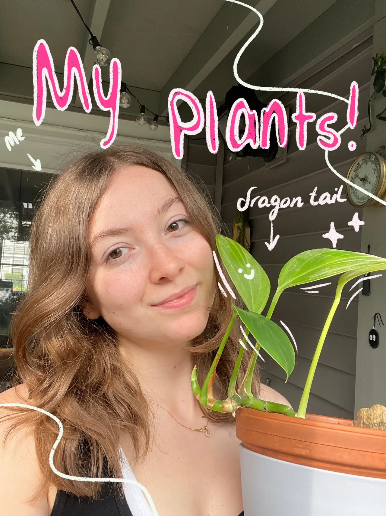 How many plants do I own?? 🌱👀 Gallery posted by Sasha Rockwell Lemon8