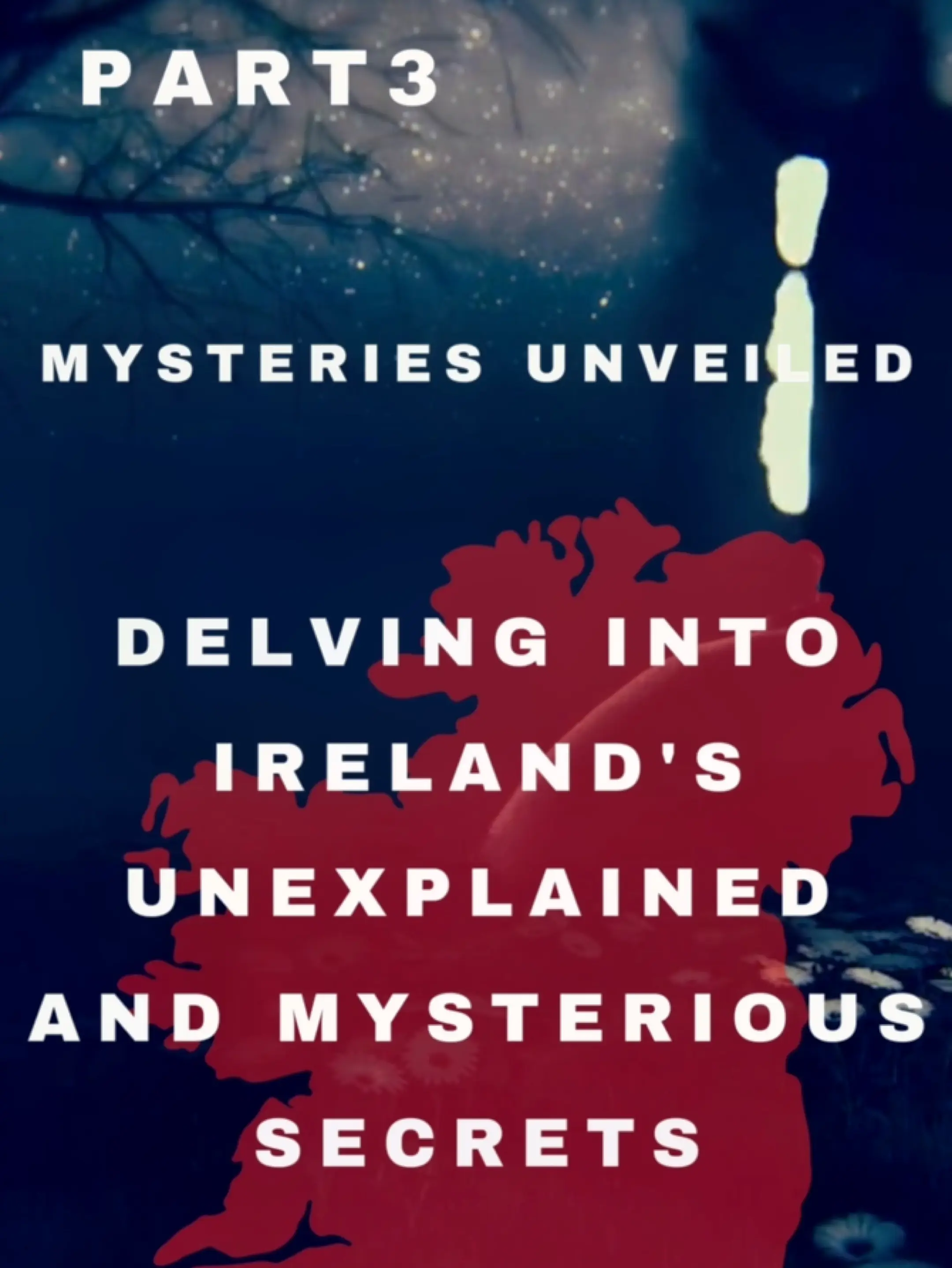 Julie Prince Levin: A Mystery Unveiled