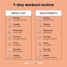 Daily workout routine