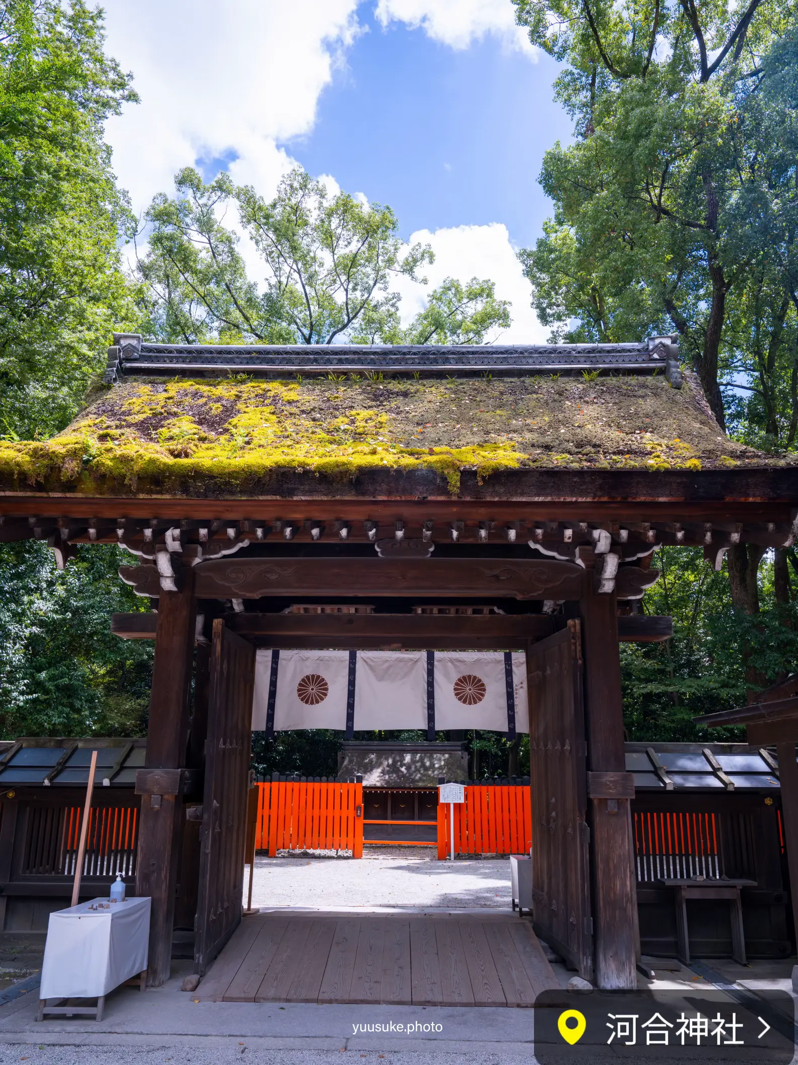 美人祈願🪞下鴨神社のカリンの庭で収穫された黄金の実＆ご神水で作られた「美人水」🪞身も心も綺麗に💛 |  YUU✈️絶景1人旅🚗が投稿したフォトブック | Lemon8