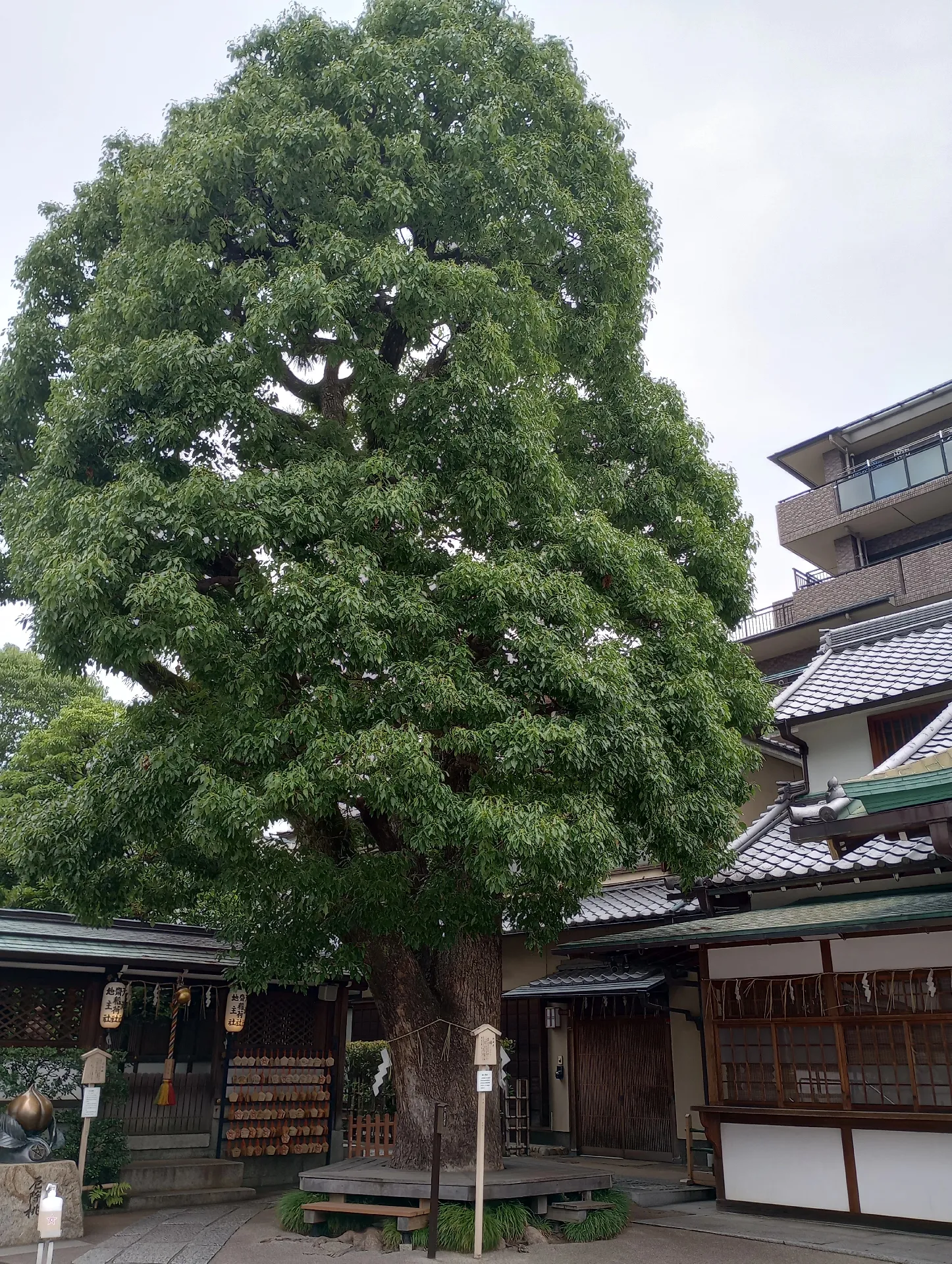 京都】晴明神社【最強パワースポット】 | まめまめが投稿したフォトブック | Lemon8