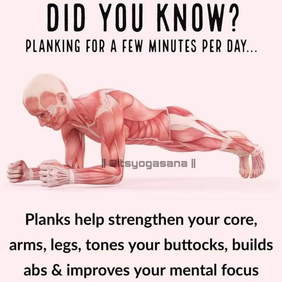 Does planks alone will give a 6 pack abs? - Quora