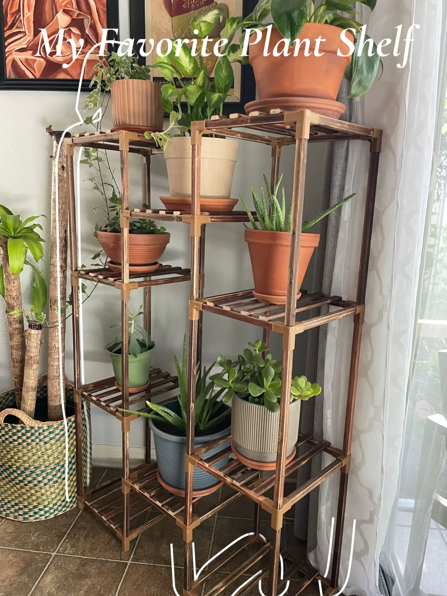 Hanging Shelves 3 Tier Hanging Plant Shelf Boho Farmhouse - Temu