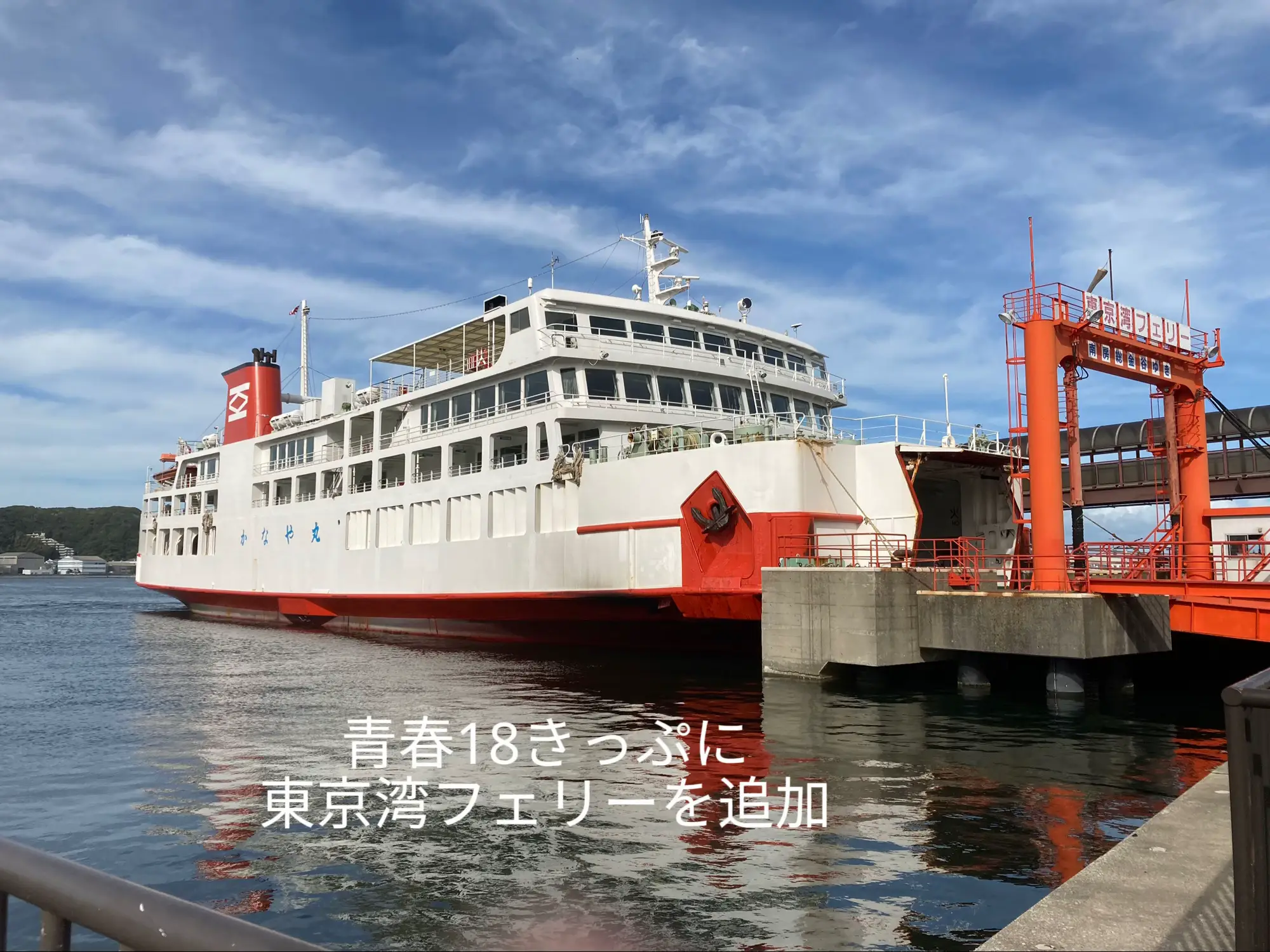 激レア！日本カーフェリー 東京湾カーフェリー チケット