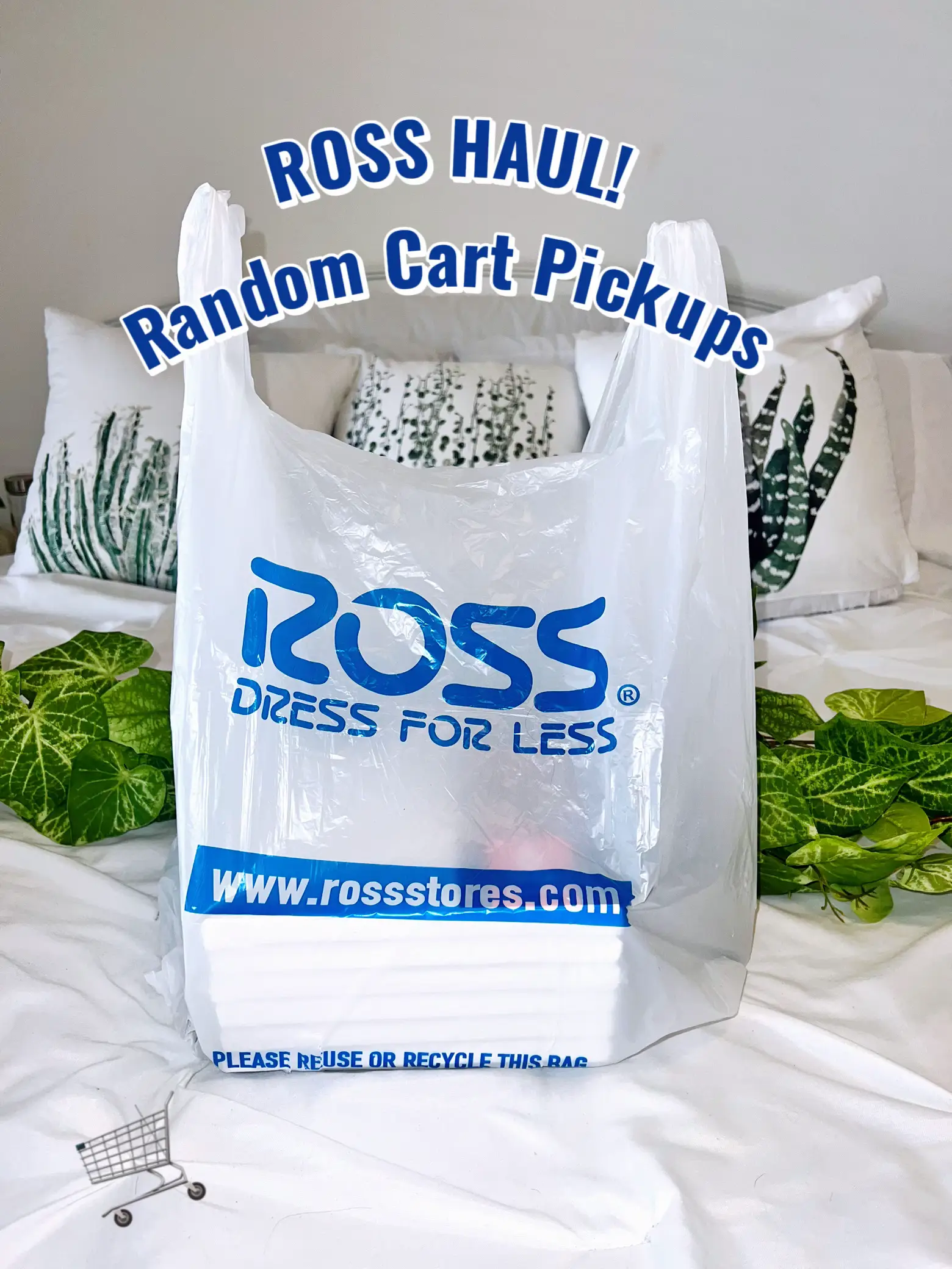 Ross best sale shopping bag