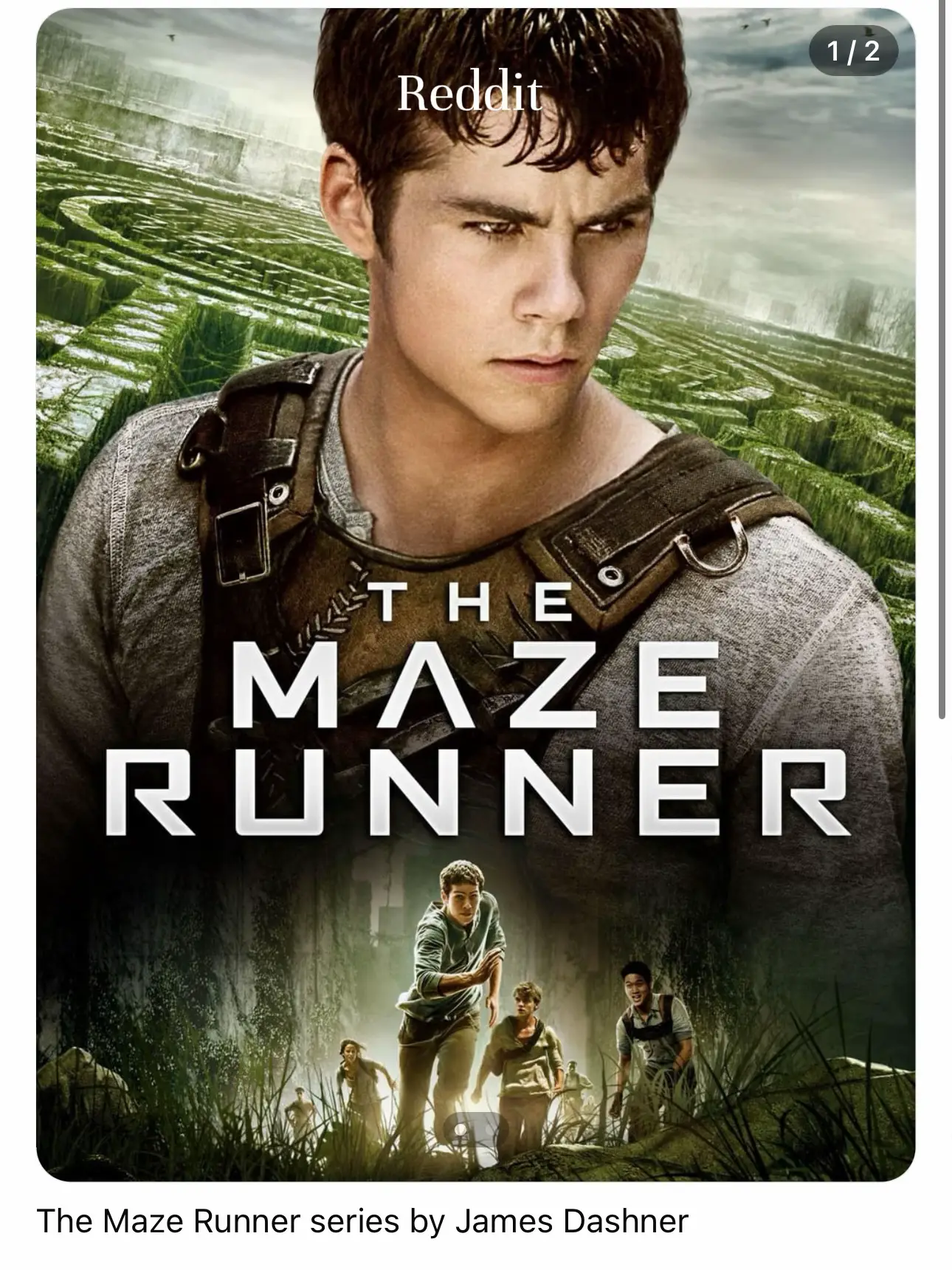 Maze Runner - Lemon8 Search