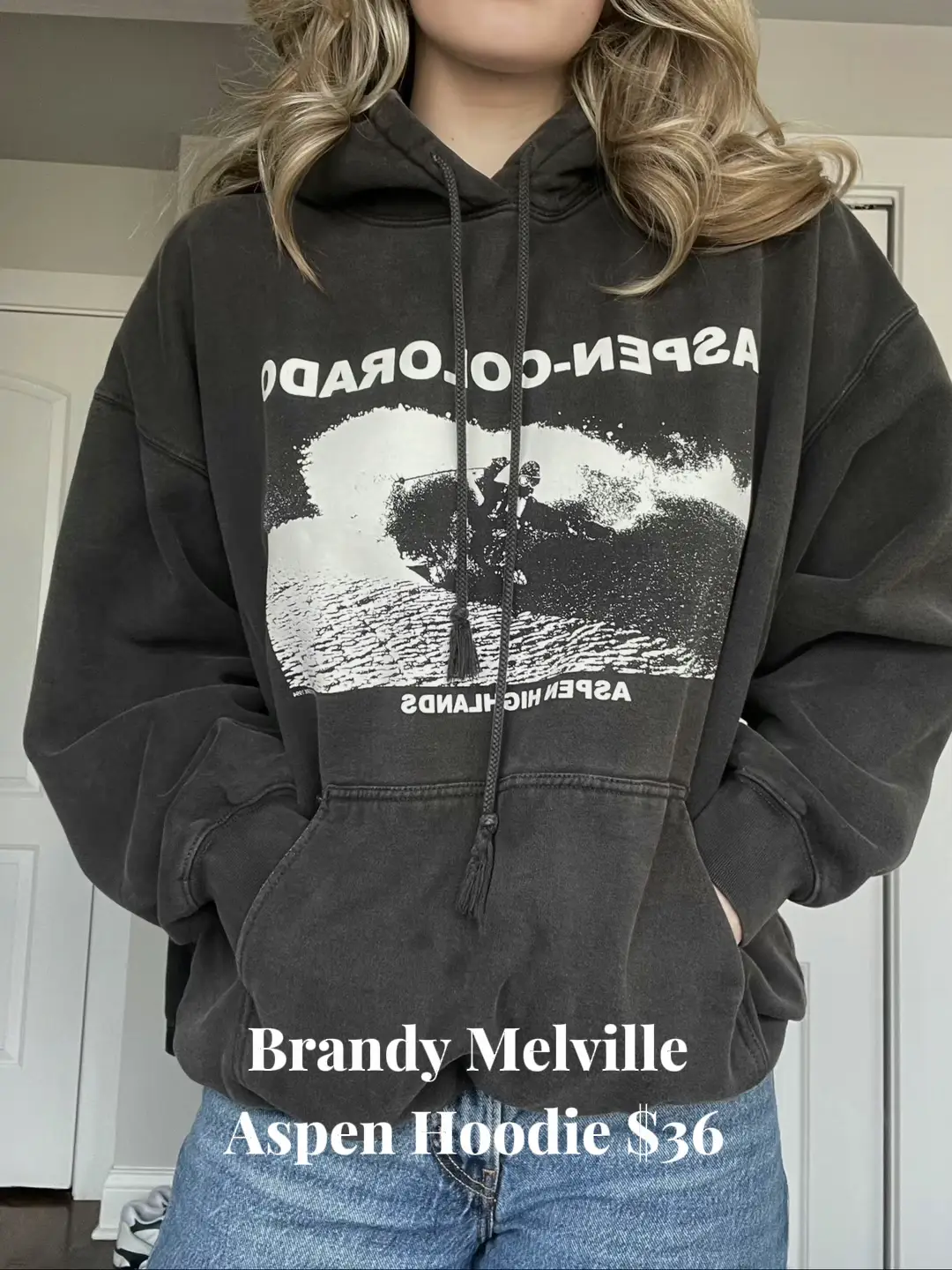 Brandy Melville - Oversized Suisse Brandy Melville Hoodie on Designer  Wardrobe