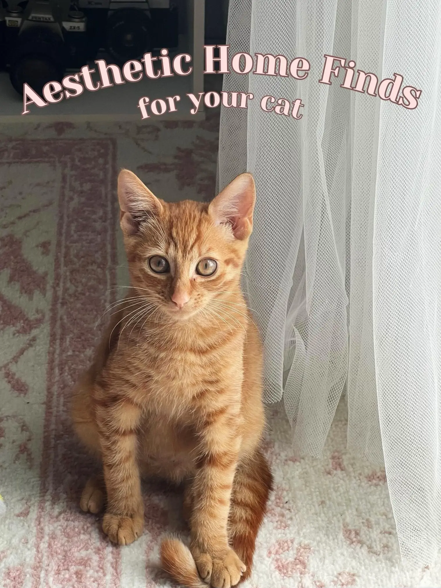Posh Feline - Cat Toy: Satin Tail Attachment - Orange