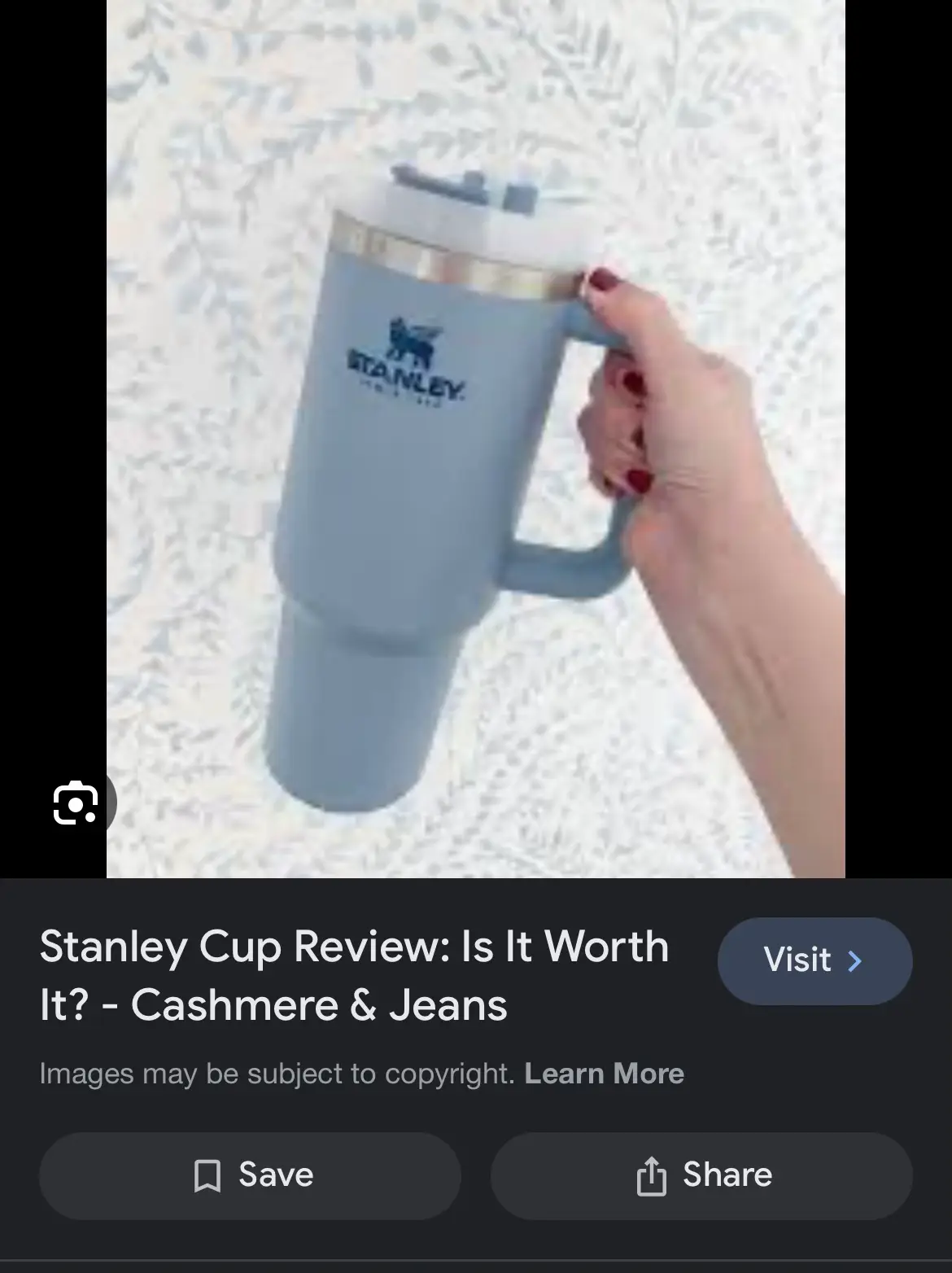 Stanley Cup Review: Is It Worth It? - Cashmere & Jeans
