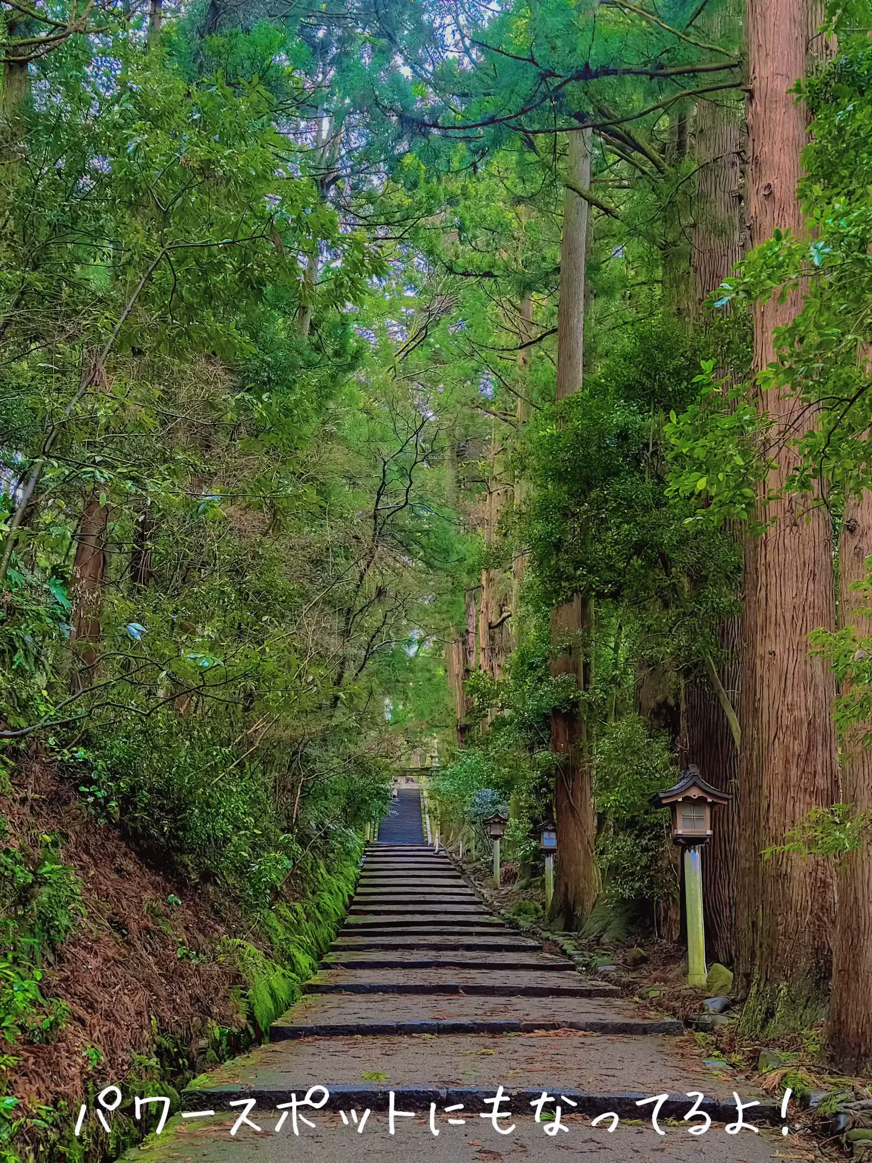 石川】2024年本当の初詣はこれから！縁結び神社で有名な白山比咩神社で参拝しにいこう⛩ | こみぃ¨̮ が投稿したフォトブック | Lemon8