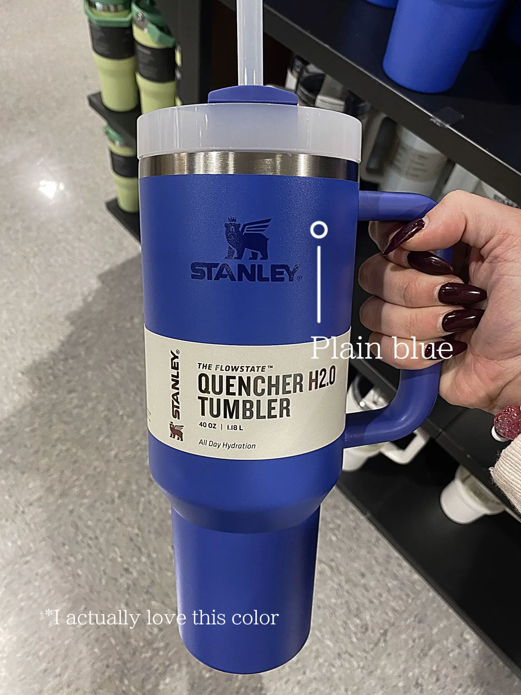 I found a $3 Stanley Cup dupe which sells at Dick's Sporting Goods