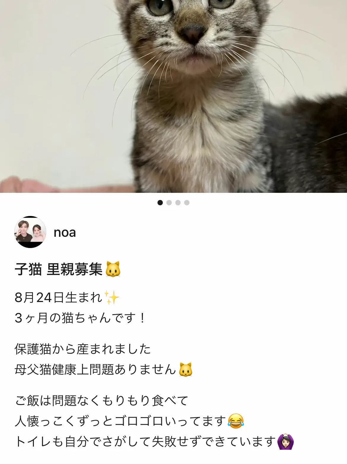 里親さん決まりました！ | noaが投稿したフォトブック | Lemon8