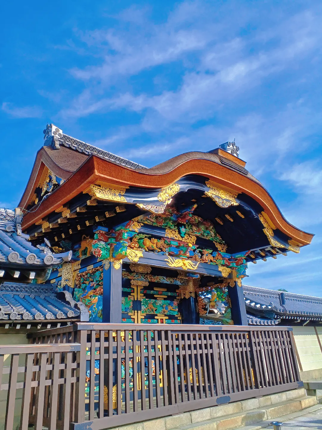 【京都ぶらり】秋晴れの京都から 西本願寺の大銀杏の画像 (1枚目)
