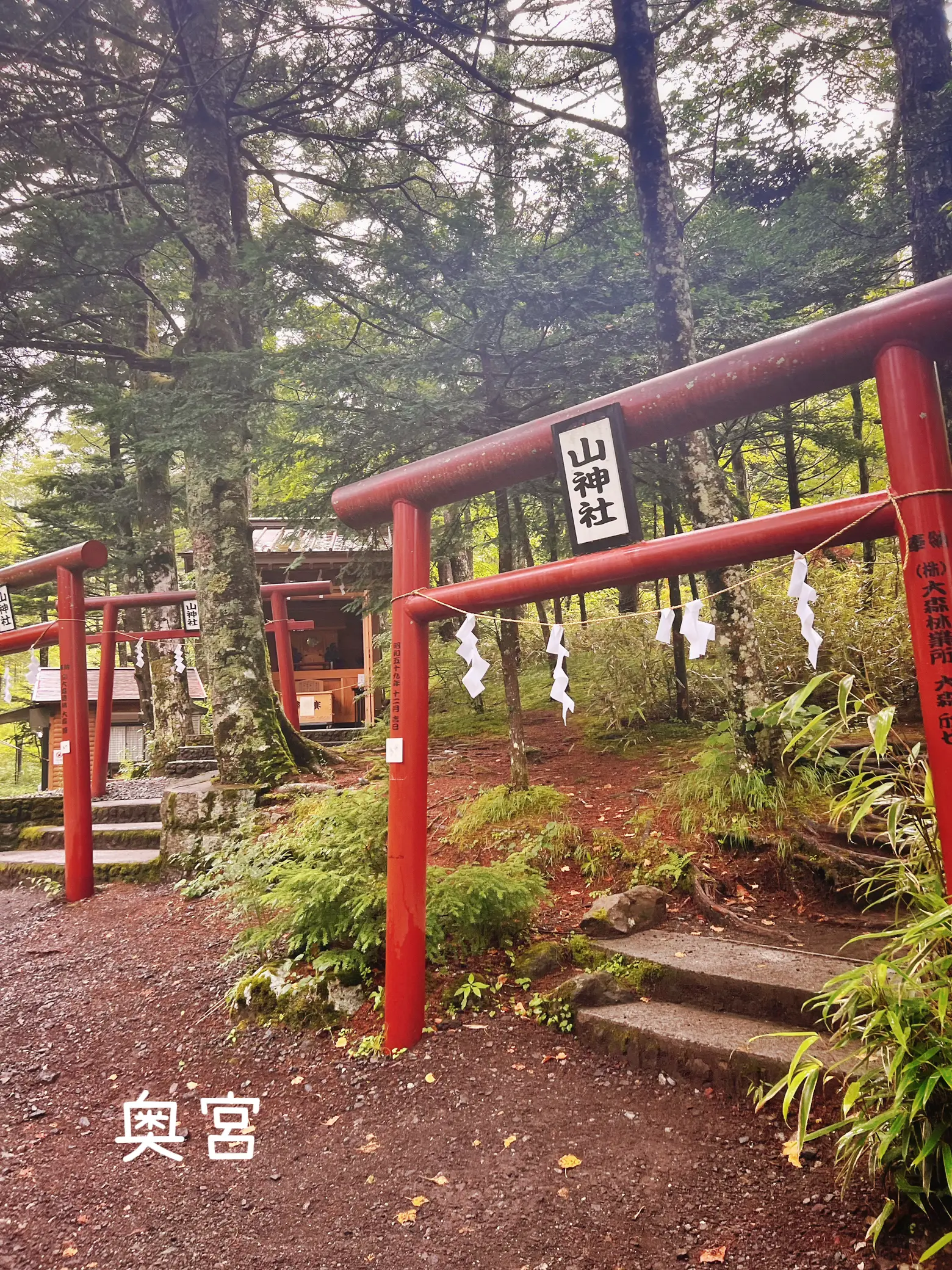 新屋山神社☆冨士御室浅間神社 金運カード御守りセット御朱印付 -