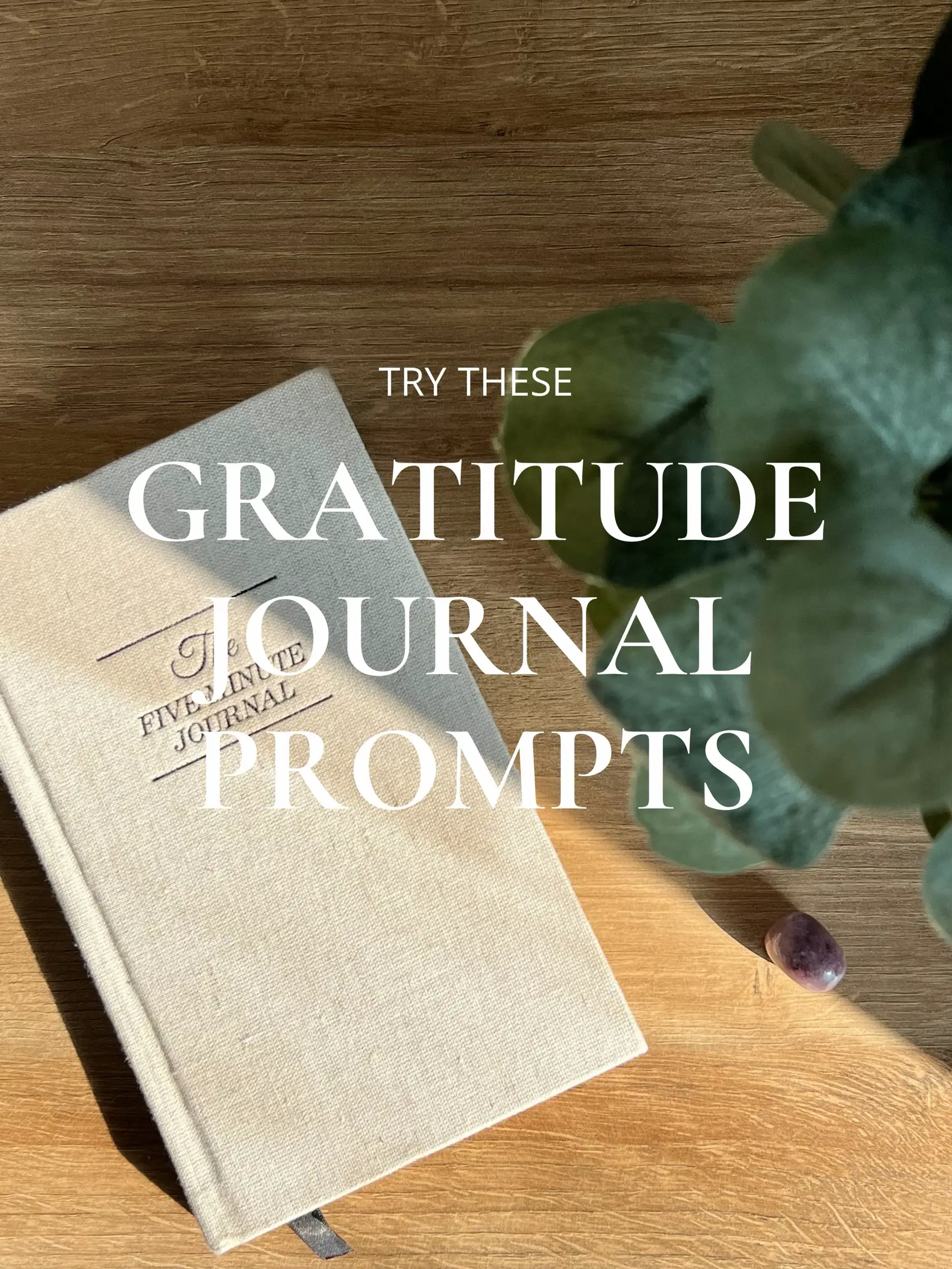 Give Thanks: A Gratitude Journal eBook by Josie Robinson - EPUB Book