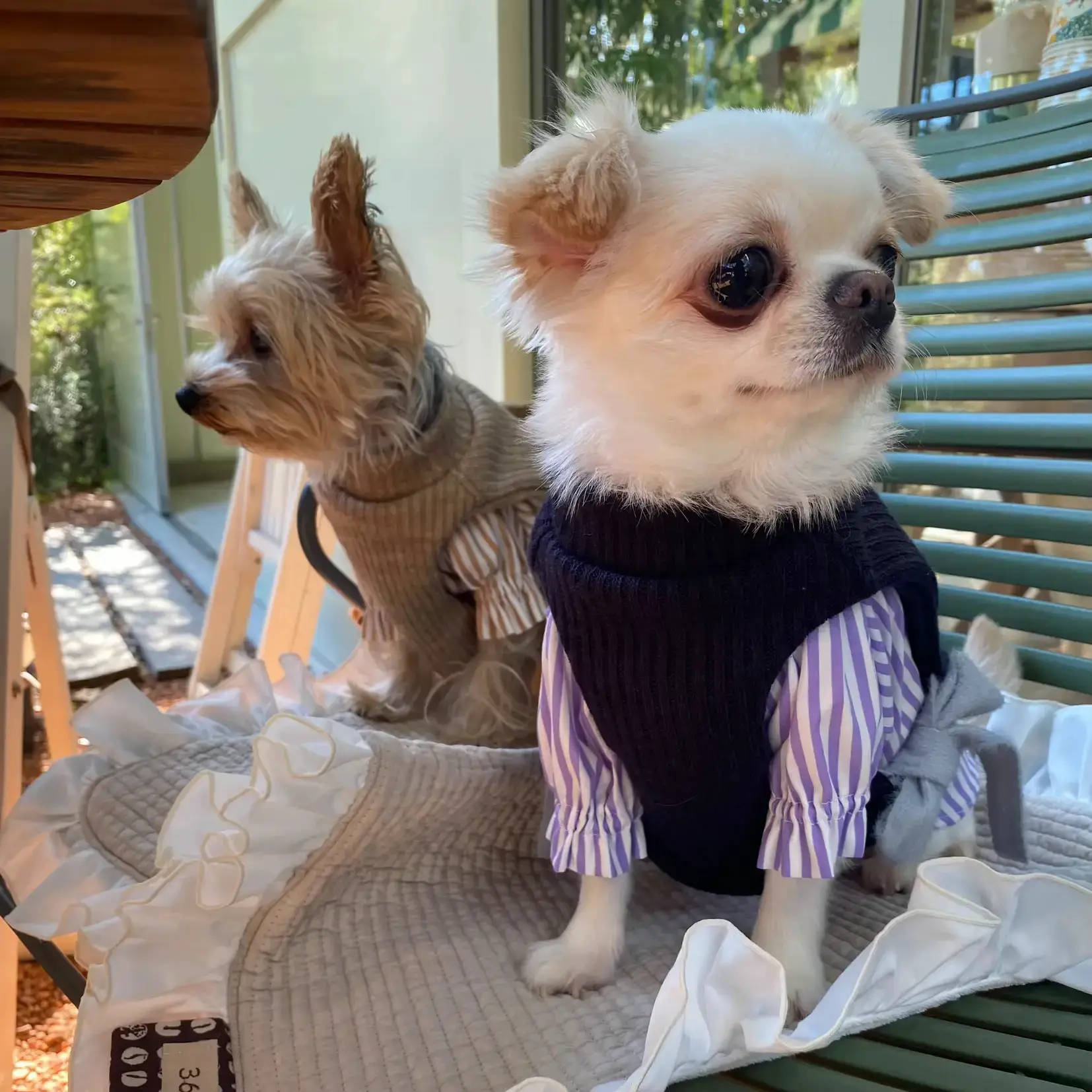 犬服ハンドメイド アーガイルくるくるボアトップス（冬のニット問題 
