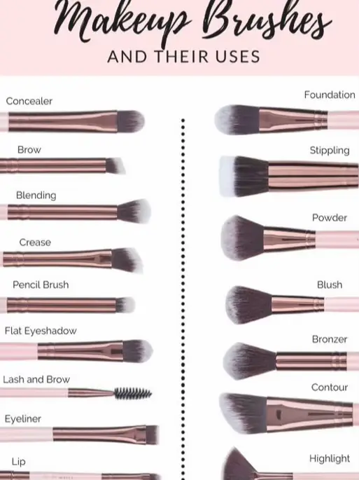 Best Makeup Brushes For Beginners