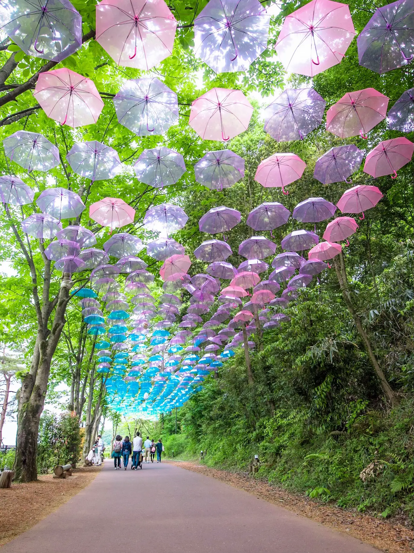 ムーミンの世界観を体感できる！✨】空に浮かぶ約1000本の傘が美しすぎる！☂️ | eno_絶景トラベルが投稿したフォトブック | Lemon8