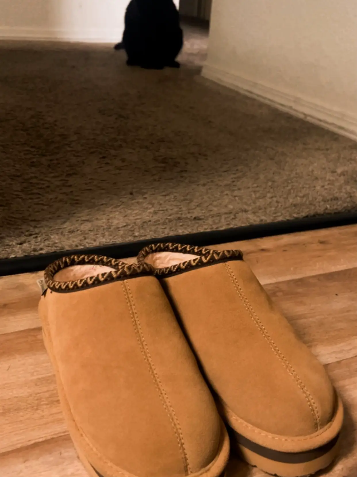 Uggs dupesbearpaws Gallery posted by JessCaudill🎀 Lemon8