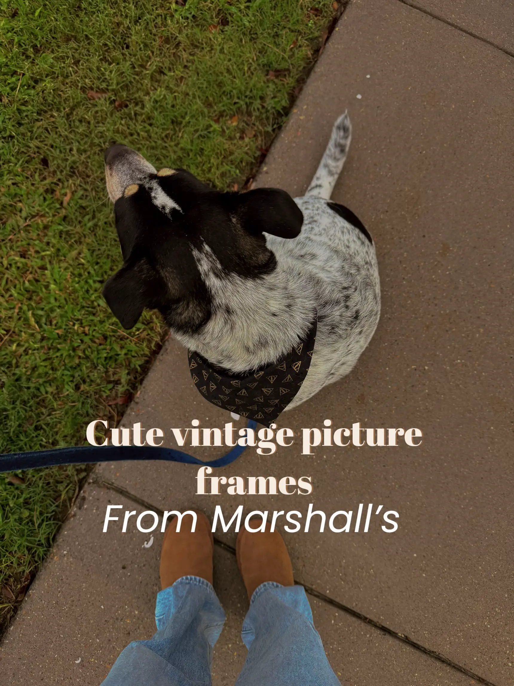 Vintage picture frames MARSHALLS 🎞️ Gallery posted by Marie Lemon8