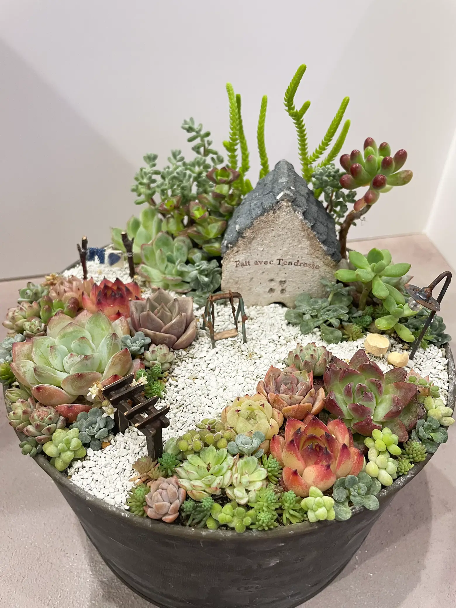 ☆多肉植物寄せ植え〜ハートの窓の木製うさぎさんHOUSE〜☆