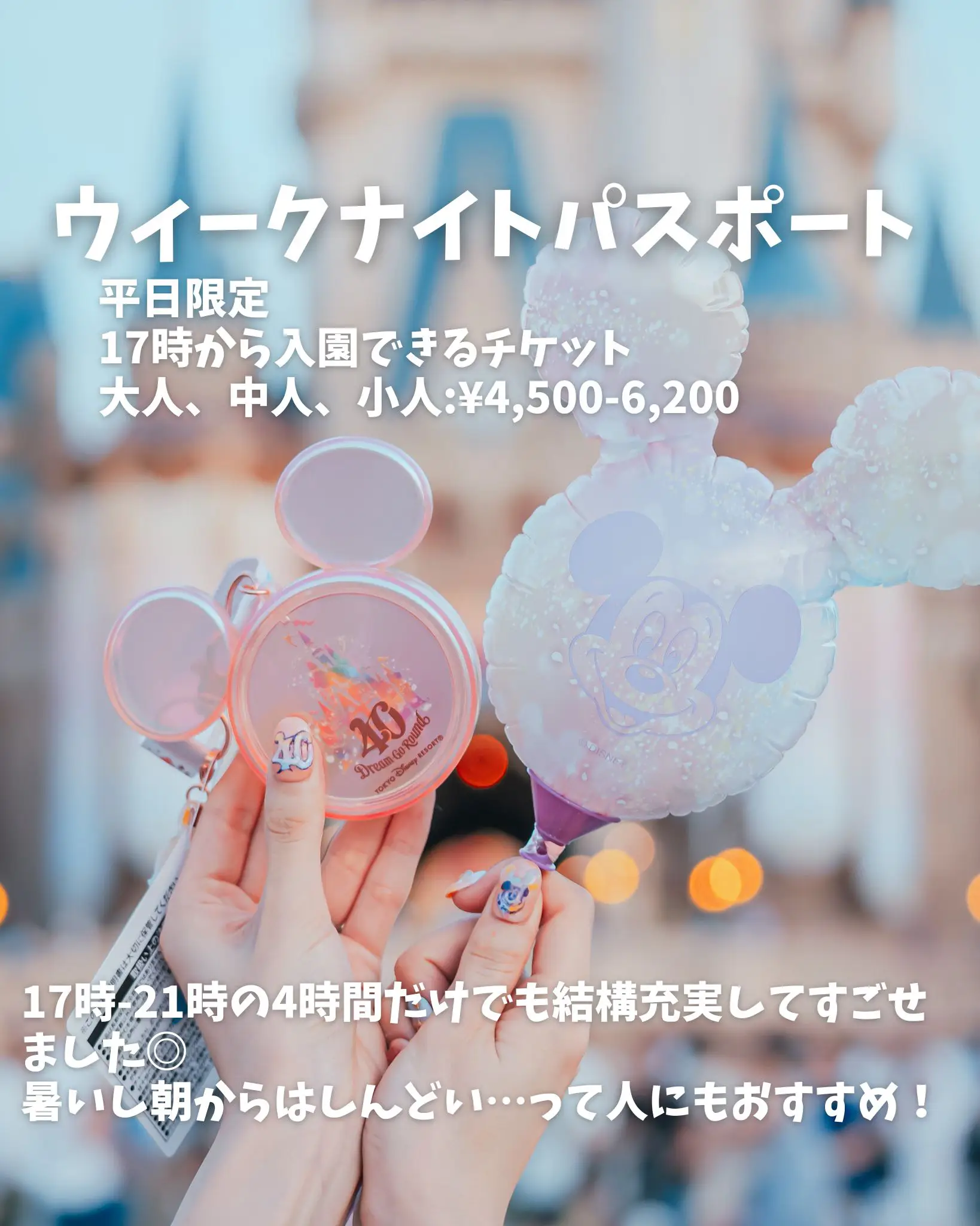 平日17時入園！ウィークナイトパスポートで遊ぶ🏰🐭✨ | ぴらこが投稿したフォトブック | Lemon8