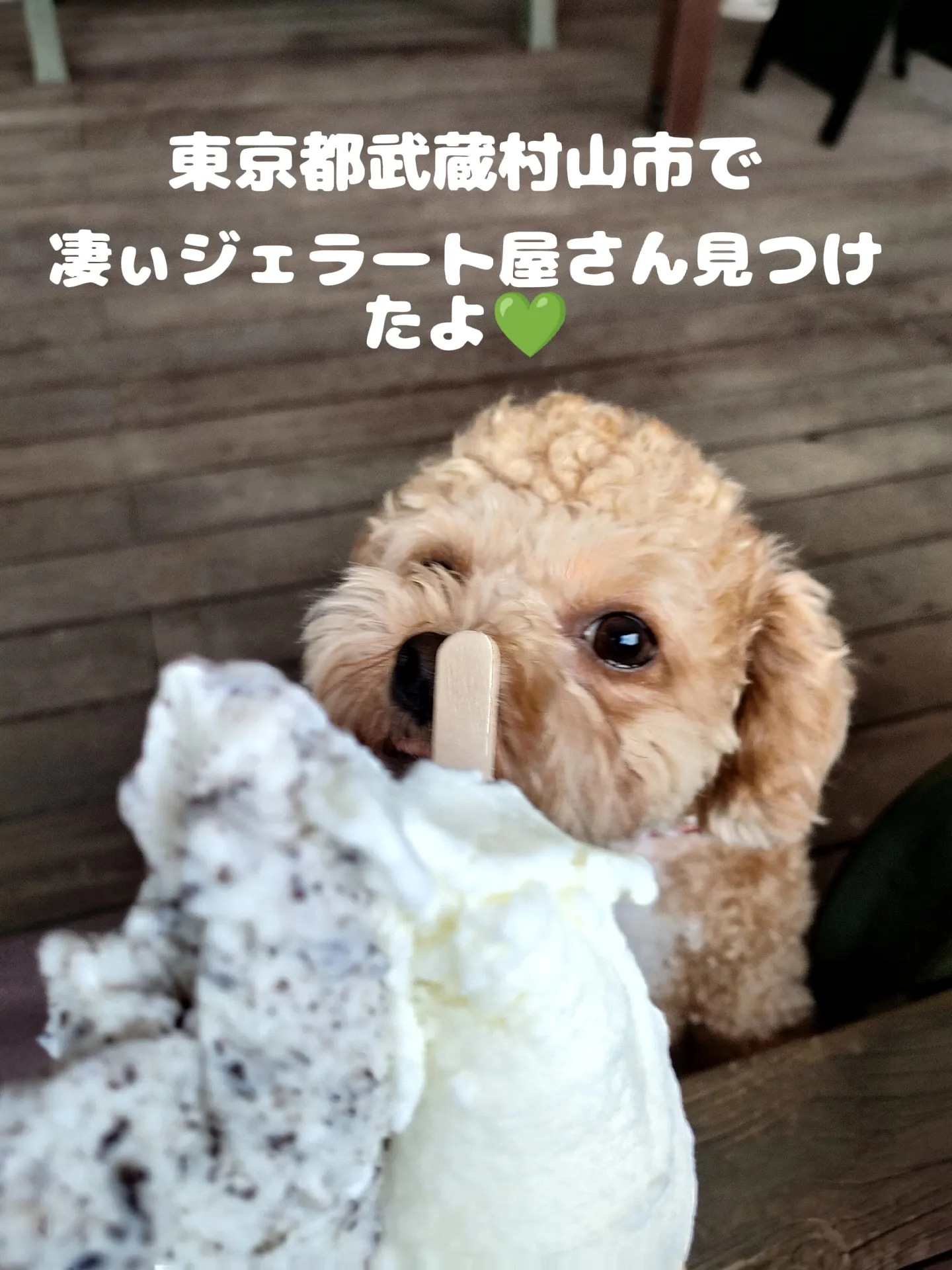 伊東美咲　gif 睡眠薬 