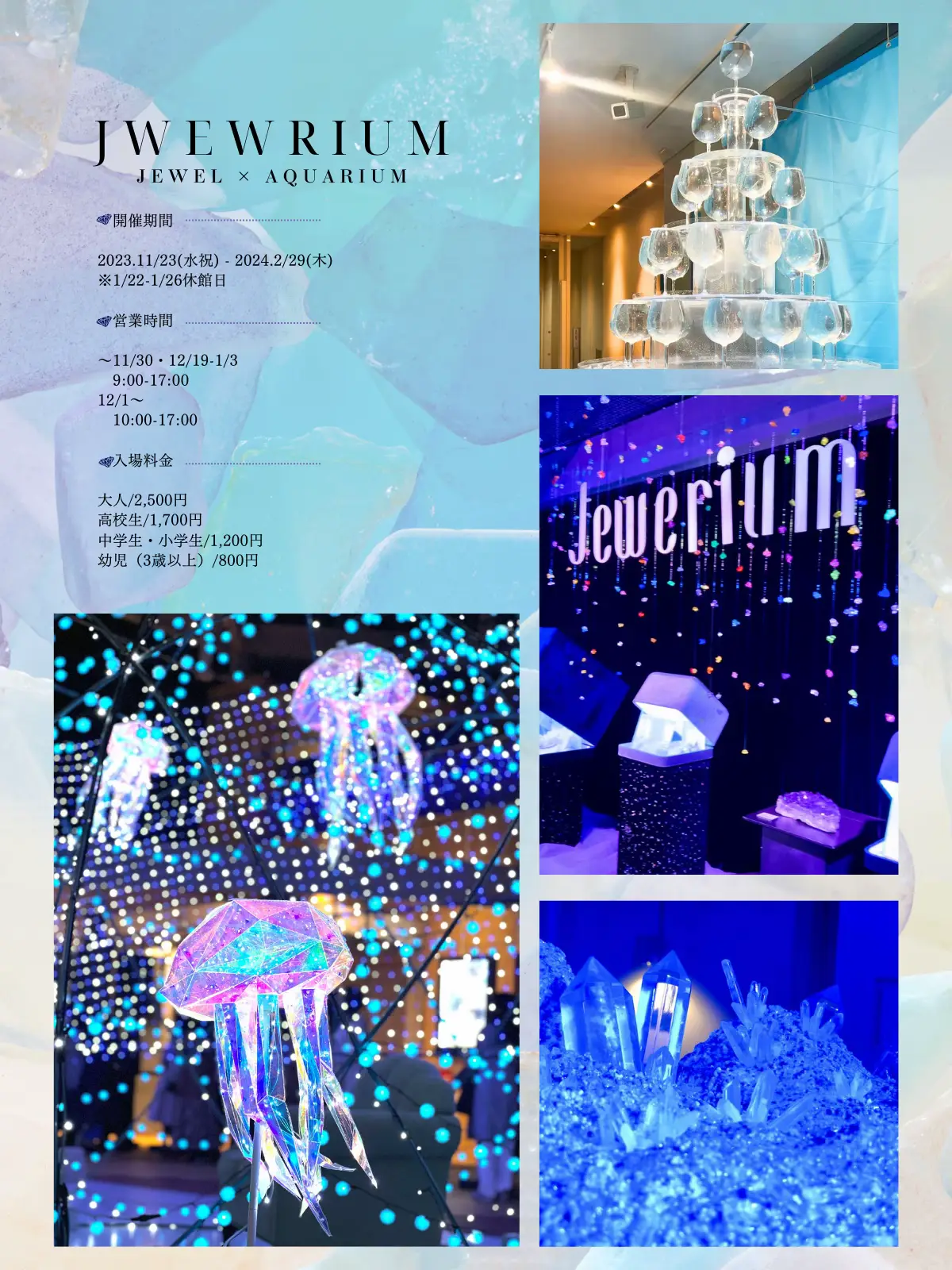 💗💎🎄Recommended for X'mas date 🎄💎💗 Collaboration of sparkling  illuminations ✨ aquarium held for the first time this year | Gallery posted  by YUKI ✈︎ おでかけ先提案 | Lemon8