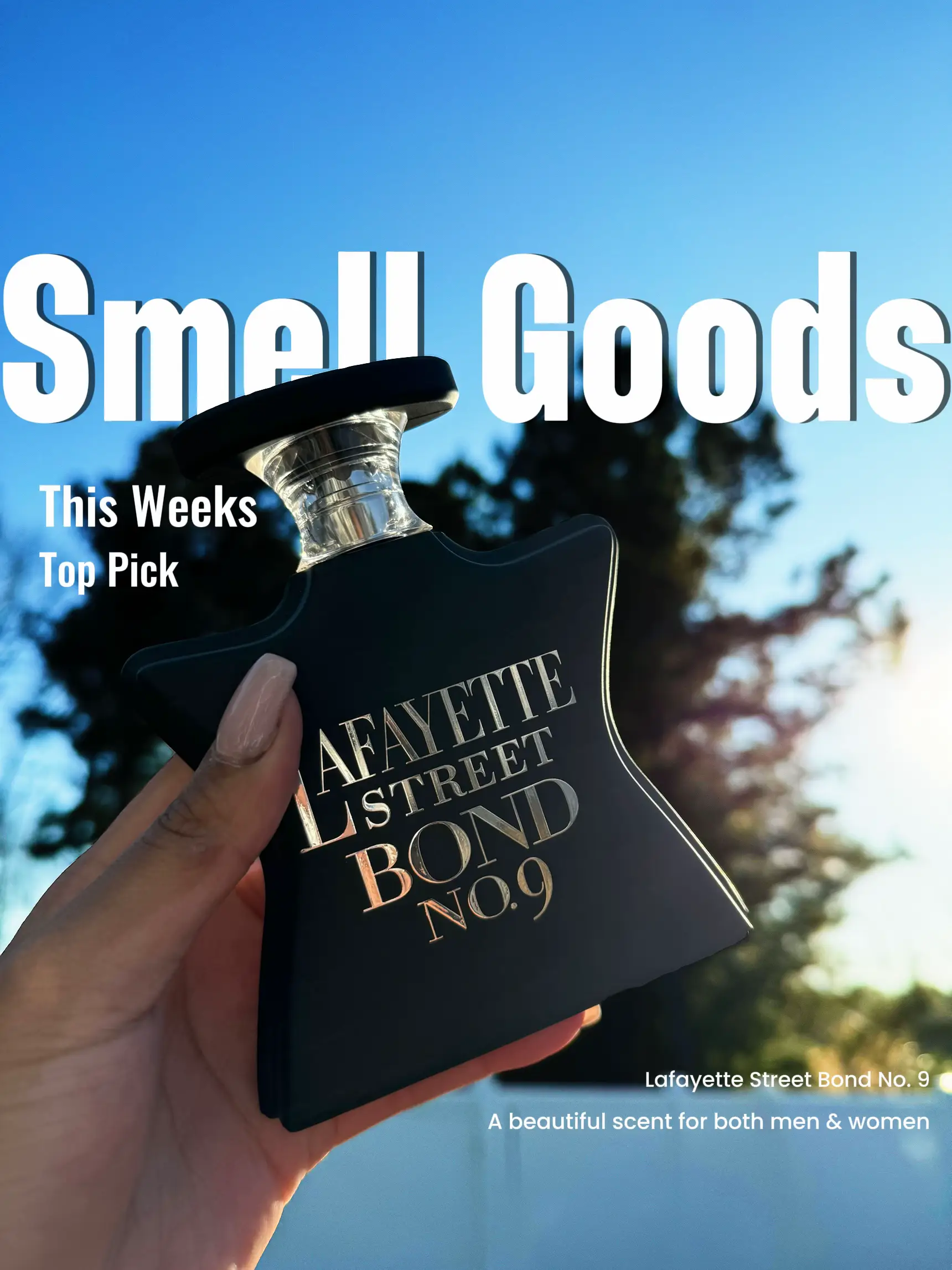 20 top Scent for Women and Men ideas in 2024