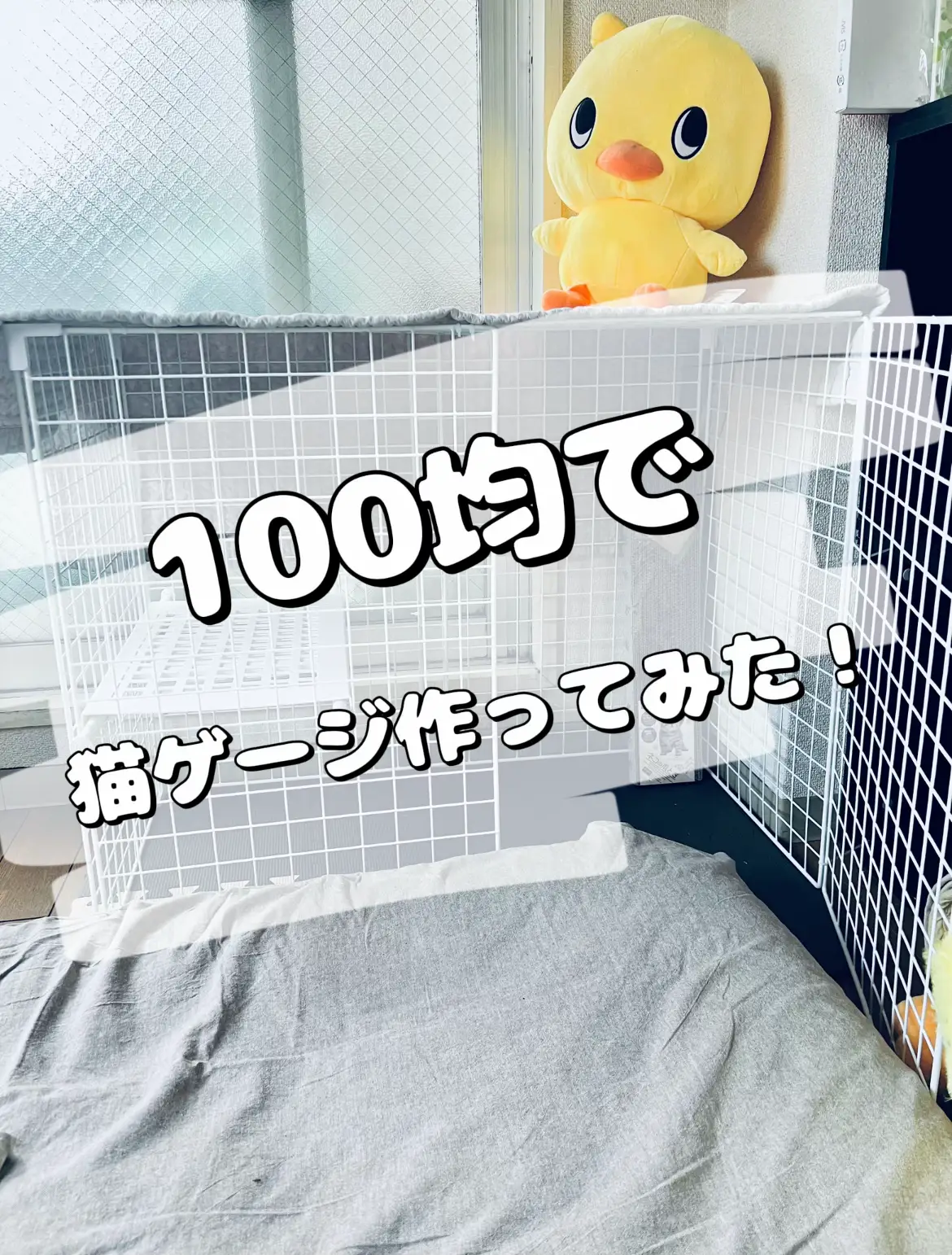 100均で猫ゲージ🐈 | onatsu072が投稿したフォトブック | Lemon8