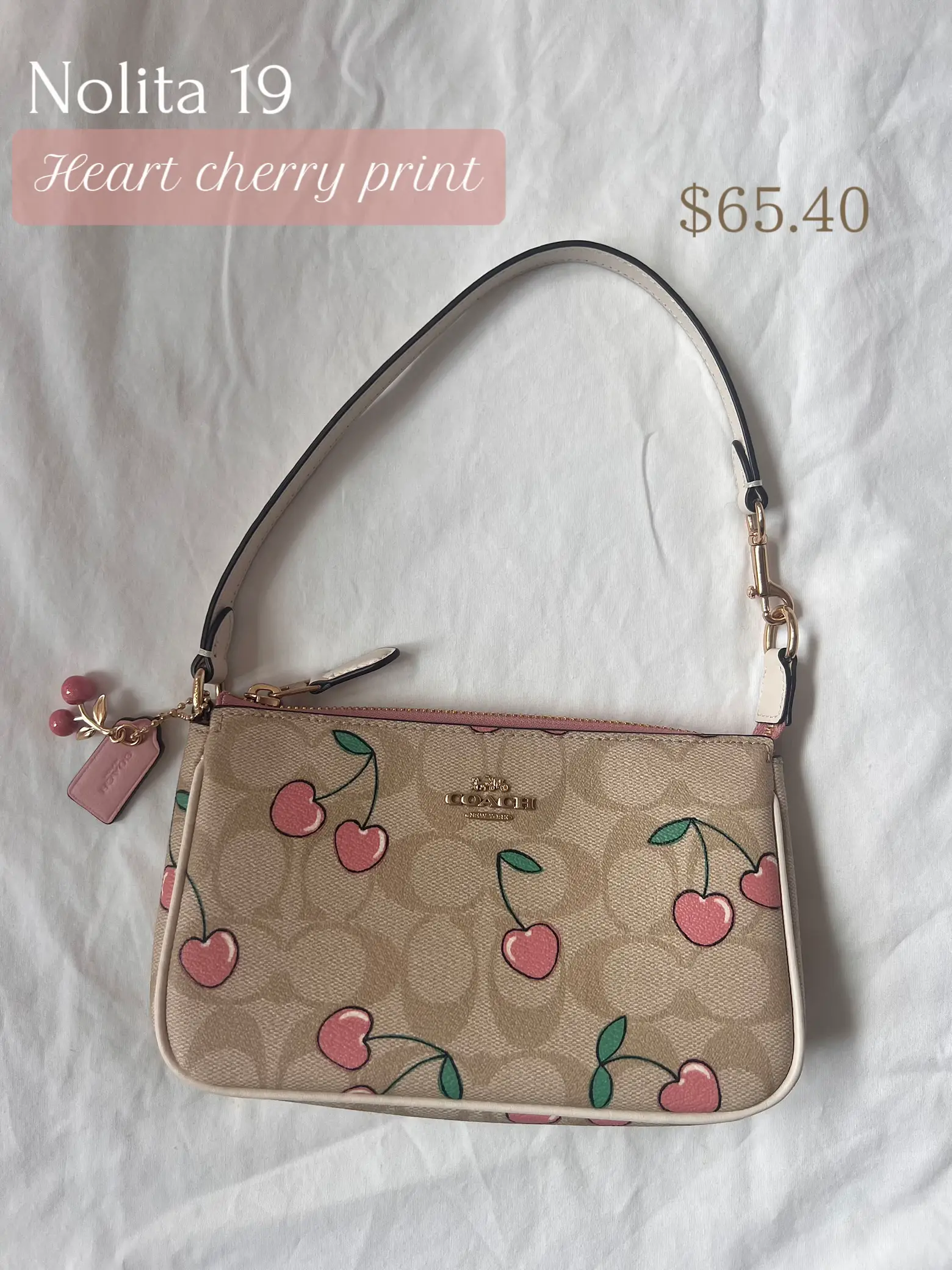 20 top Coach Cherry Bag Price ideas in 2024